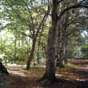 Photo of Country Lanes and Paths