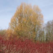 Photo of Chew Valley Lake