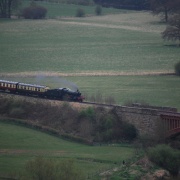 Photo of Wyre Forest