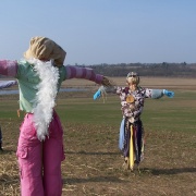 Photo of Scarecrows