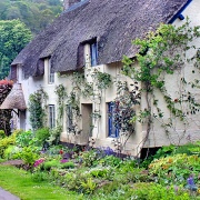 Photo of Favorite English cottages 
