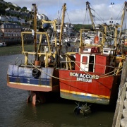 Fishing boats in the harbour.