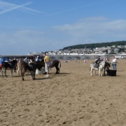 Photo of Weston-super-Mare Camping & Caravan Club Site