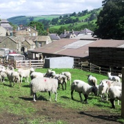Photo of Pateley Bridge