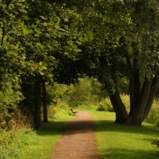 Photo of Kirk Hallam