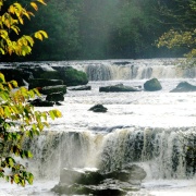 Photo of Delightful Dales