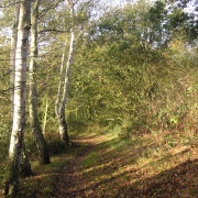 Photo of One Tree Hill Country Park