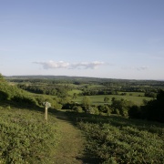 Photo of Abinger Common