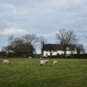 Photo of St Michael South Elmham