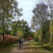Photo of A trip along the Off-road Cycle Route from Burly to Lyndhurst