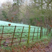 Photo of Knowle Green