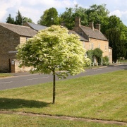 Photo of West Deeping