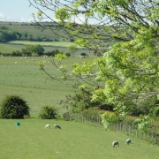 Photo of Running Waters