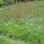 Photo of Moors Centre, Danby