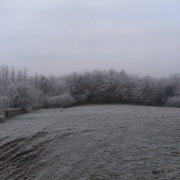 Photo of Caudle Green