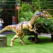 Photo of Combe Martin Wildlife & Dinosaur Park