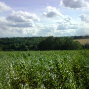 Photo of Little Chalfont