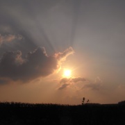 Photo of Collingbourne Ducis