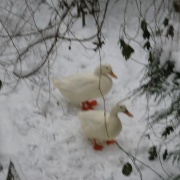 Photo of Kings Worthy