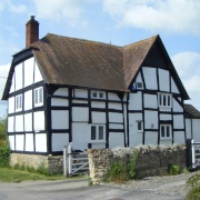 Photo of Aston on Carrant