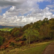 Photo of On the edge of Dartmoor