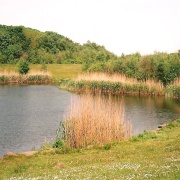 Photo of Winlaton Mill