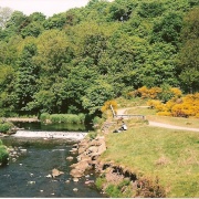Photo of Derwenthaugh Park