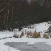 Photo of Quarry Bank