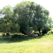 Photo of Arlington Resr