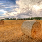 Photo of Middle Barton