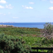 Photo of Dunwich Heath (NT)
