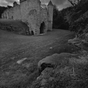 Photo of Spofforth Castle