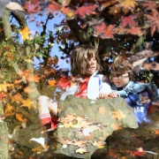 Photo of Calderstones Park