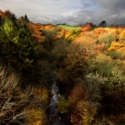 Photo of Cotherstone