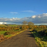 Photo of A circular walk from Shillingstone to Hanford