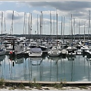 Masts in the Marina