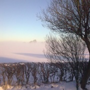 Photo of Burton Salmon