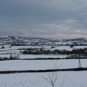 Photo of Yarcombe