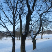 Photo of Chevin Golf Club