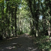 Photo of Shipley Common