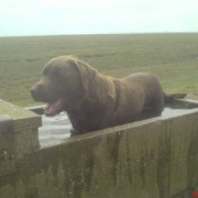 Photo of Freiston Shore