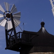 Photo of Littleworth