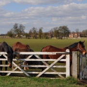 Photo of Appleby Magna