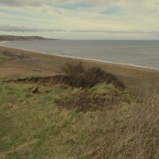 Photo of Castle Eden Walkway Country Park