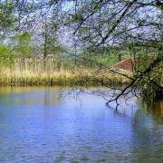 Photo of Marple Bridge