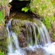 Photo of Upper Padley