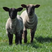 Photo of Horninghold