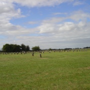 Photo of Woodhenge