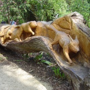 Photo of Abbotsbury Gardens