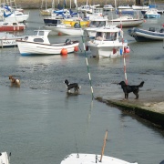 Photo of Aberaeron